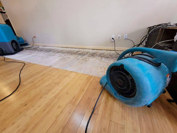 Professional Flood Damage Cleanup technician working in Mabank, TX